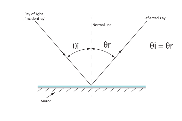The angle of incidence equals the angle of reflection when a ray hits a flat mirror.